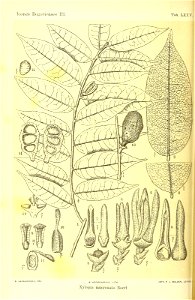 n409_w1150