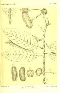 n256_w1150