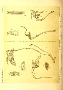 n149_w1150