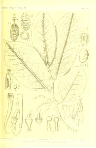 n284_w1150