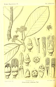n493_w1150