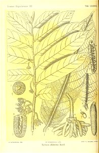 n401_w1150