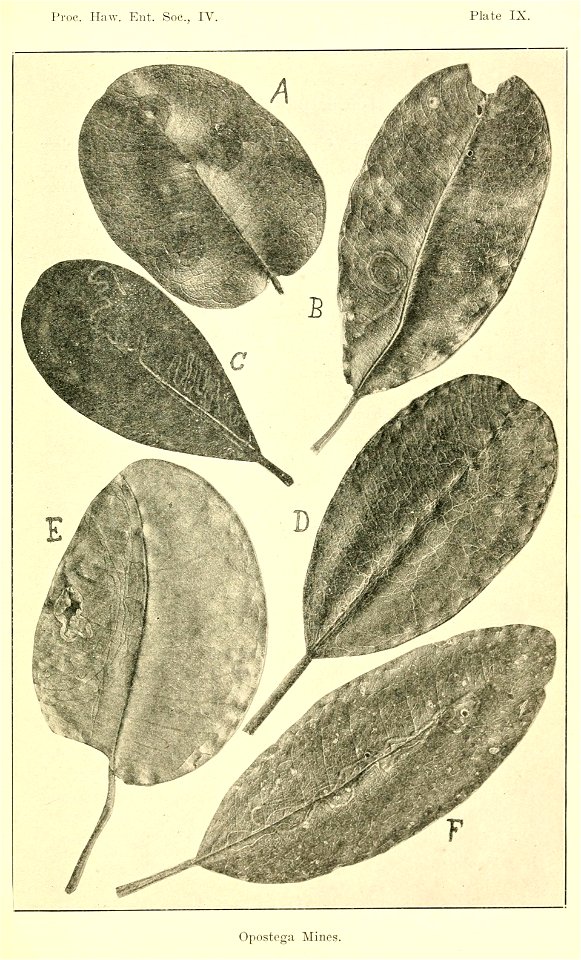 n580_w1150