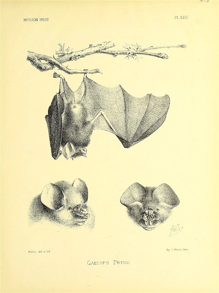 n592_w1150