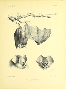 n592_w1150