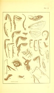 n528_w1150