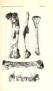 n392_w1150
