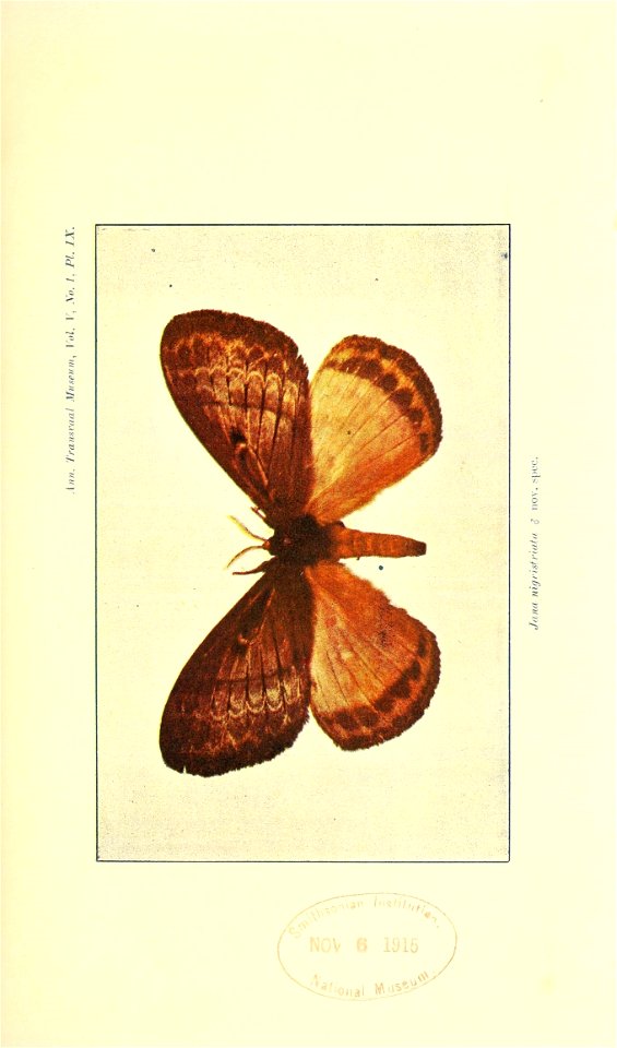 n406_w1150