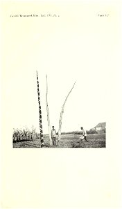 n580_w1150