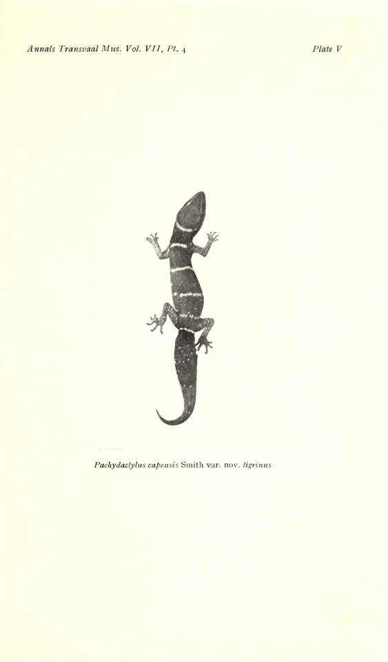 n578_w1150