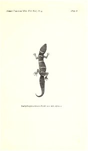 n578_w1150