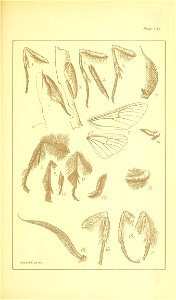 n524_w1150