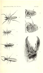 n290_w1150