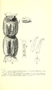 n216_w1150