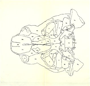 n80_w1150