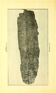 n153_w1150