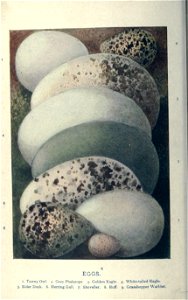 n227_w1150