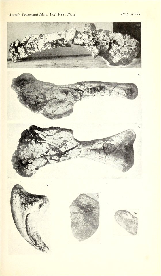 n386_w1150