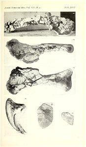 n386_w1150