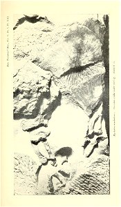 n518_w1150