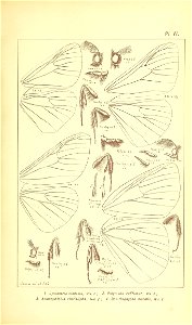 n364_w1150