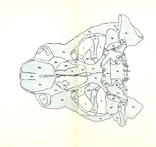 n78_w1150