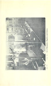 n50_w1150