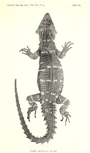n574_w1150