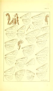n520_w1150