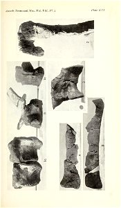 n384_w1150