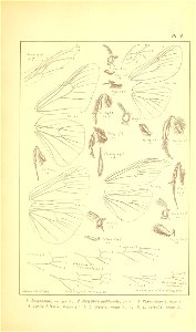 n354_w1150