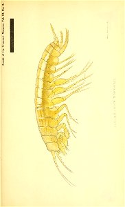 n144_w1150