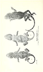 n259_w1150
