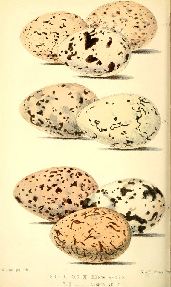 n157_w1150