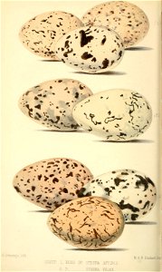 n157_w1150