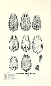n227_w1150