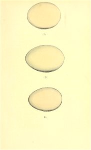 n32_w1150