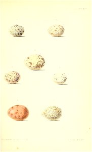 n168_w1150