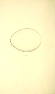 n319_w1150