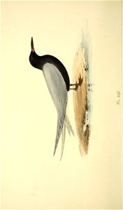 n177_w1150