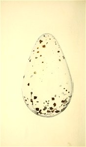 n97_w1150