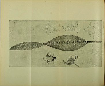 n711_w1150