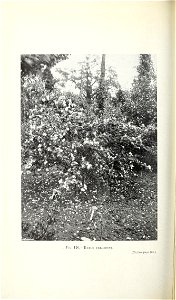 n407_w1150