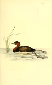 n46_w1150