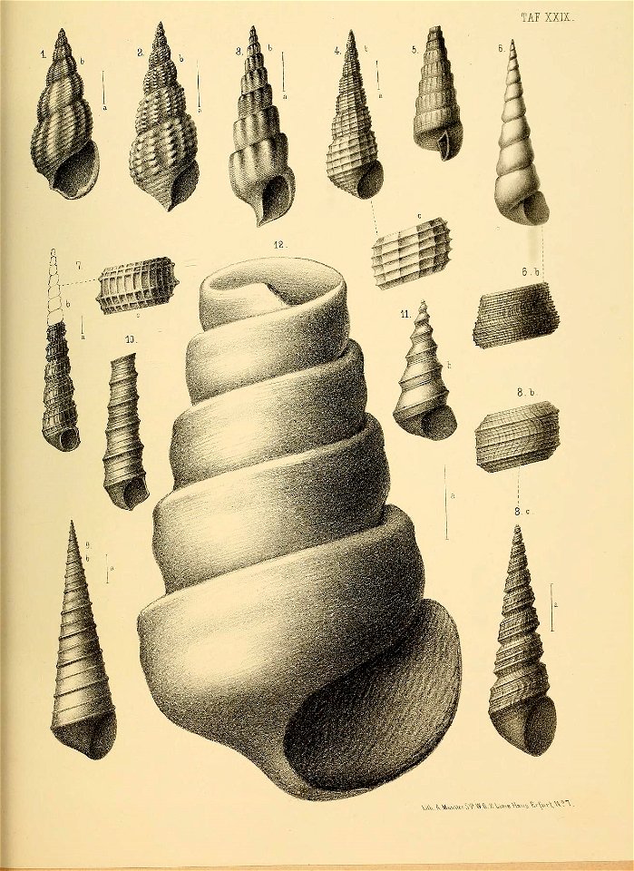 n132_w1150