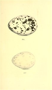 n110_w1150