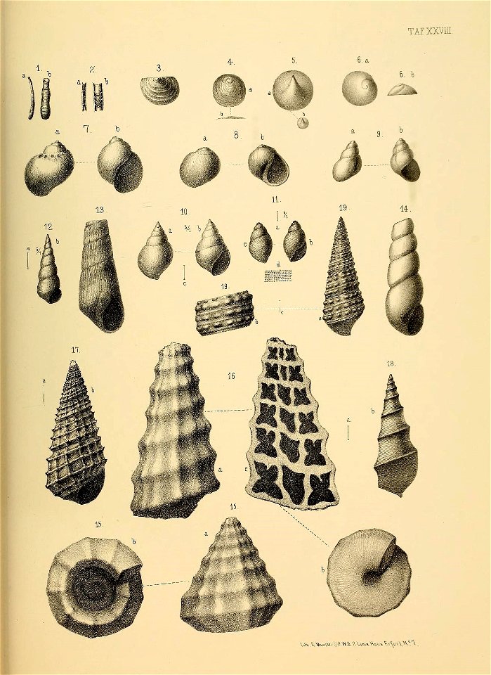 n128_w1150