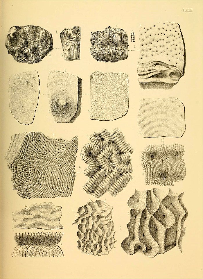 n58_w1150
