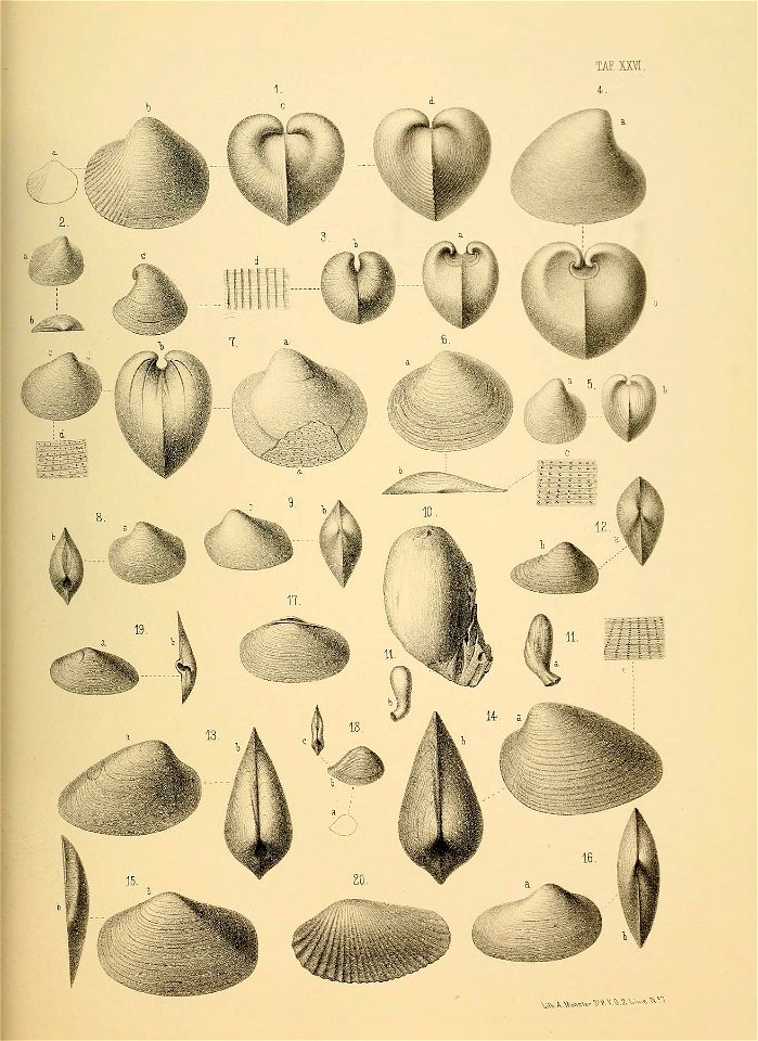 n118_w1150