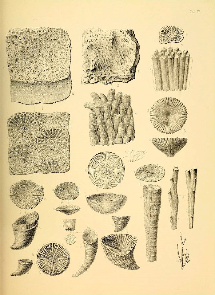 n54_w1150